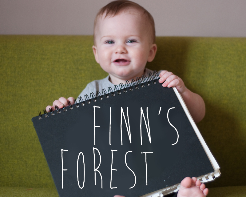 Finn's Forest